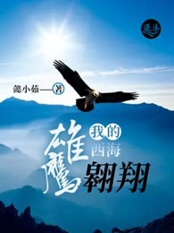 我的西海雄鹰翱翔
