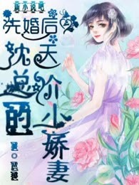 先婚后爱：沈总的天价小娇妻