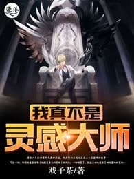 我真不是灵感大师