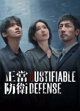 線上看 正當防衛 (2025) 帶字幕 中文配音，國語版