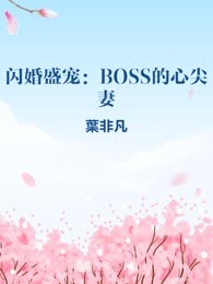 闪婚盛宠：BOSS的心尖妻