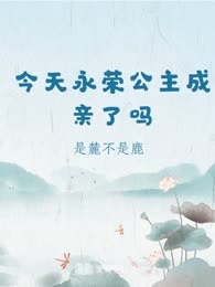 今天永荣公主成亲了吗