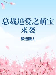 总裁追爱之萌宝来袭
