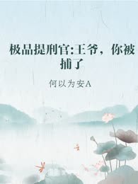 极品提刑官:王爷，你被捕了