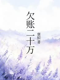 欠账二十万