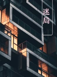 迷局（追凶行动：终章）