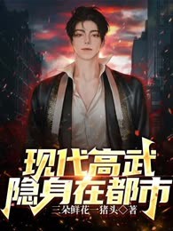 现代高武隐身在都市