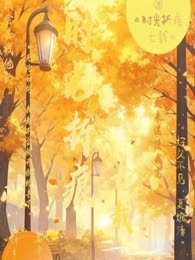 不止七年