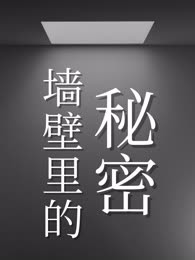 墙壁里的秘密