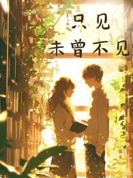 只见未曾不见