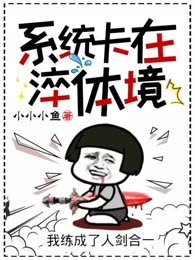 系统卡在淬体境