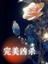 完美凶杀