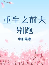 重生之前夫别跑