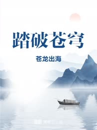 踏破苍穹