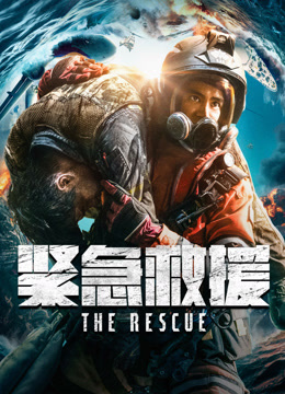 线上看 紧急救援 (2020) 带字幕 中文配音