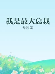 我是最大总裁