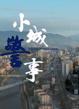 小城警事